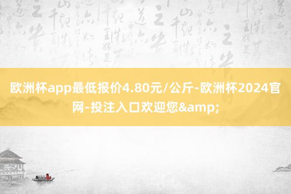 欧洲杯app最低报价4.80元/公斤-欧洲杯2024官网-投注入口欢迎您&