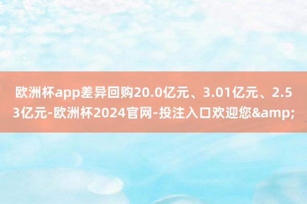 欧洲杯app差异回购20.0亿元、3.01亿元、2.53亿元-欧洲杯2024官网-投注入口欢迎您&