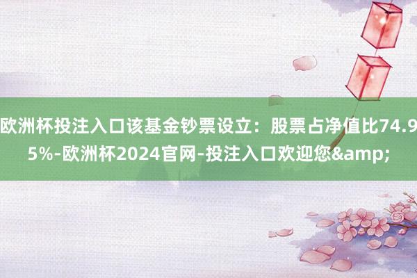 欧洲杯投注入口该基金钞票设立：股票占净值比74.95%-欧洲杯2024官网-投注入口欢迎您&