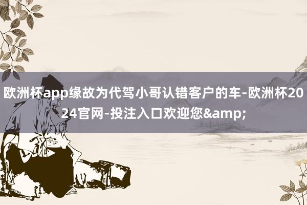 欧洲杯app缘故为代驾小哥认错客户的车-欧洲杯2024官网-投注入口欢迎您&