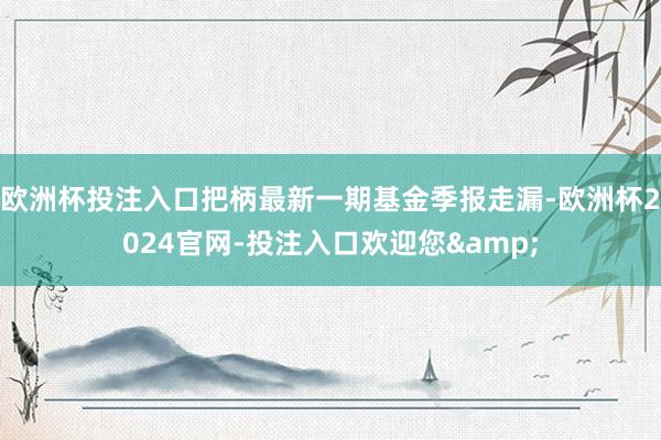 欧洲杯投注入口把柄最新一期基金季报走漏-欧洲杯2024官网-投注入口欢迎您&