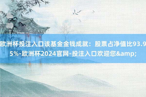 欧洲杯投注入口该基金金钱成就：股票占净值比93.95%-欧洲杯2024官网-投注入口欢迎您&