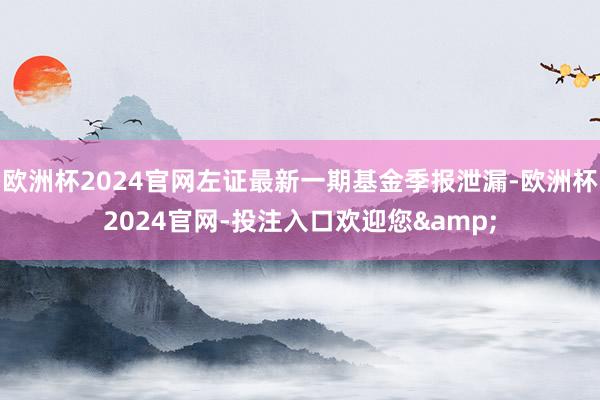 欧洲杯2024官网左证最新一期基金季报泄漏-欧洲杯2024官网-投注入口欢迎您&