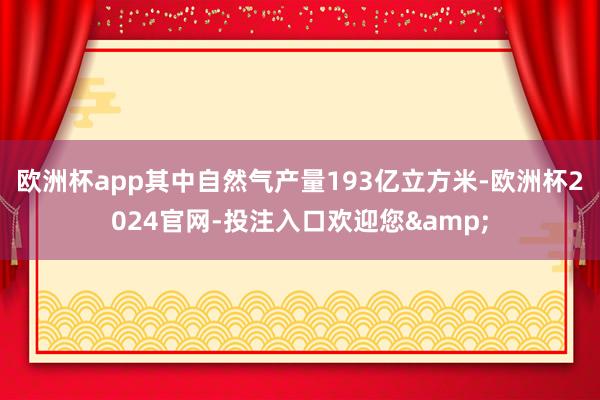 欧洲杯app其中自然气产量193亿立方米-欧洲杯2024官网-投注入口欢迎您&