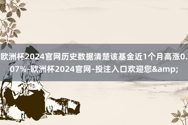 欧洲杯2024官网历史数据清楚该基金近1个月高涨0.07%-欧洲杯2024官网-投注入口欢迎您&