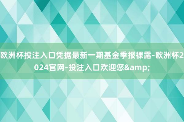 欧洲杯投注入口凭据最新一期基金季报裸露-欧洲杯2024官网-投注入口欢迎您&