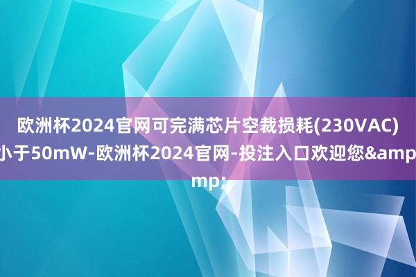 欧洲杯2024官网可完满芯片空裁损耗(230VAC)小于50mW-欧洲杯2024官网-投注入口欢迎您&