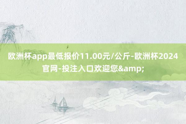 欧洲杯app最低报价11.00元/公斤-欧洲杯2024官网-投注入口欢迎您&