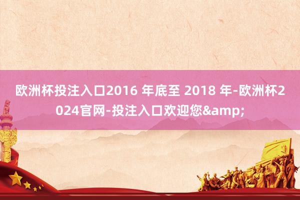 欧洲杯投注入口2016 年底至 2018 年-欧洲杯2024官网-投注入口欢迎您&