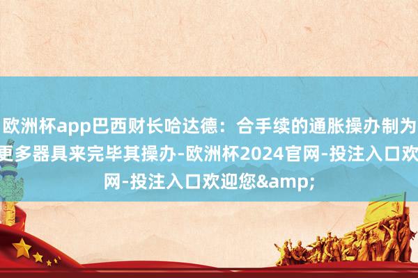 欧洲杯app巴西财长哈达德：合手续的通胀操办制为央行提供了更多器具来完毕其操办-欧洲杯2024官网-投注入口欢迎您&