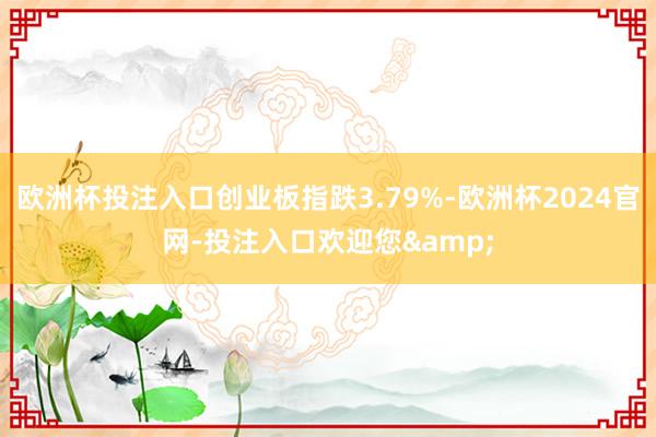 欧洲杯投注入口创业板指跌3.79%-欧洲杯2024官网-投注入口欢迎您&