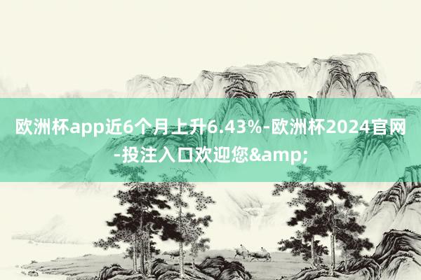 欧洲杯app近6个月上升6.43%-欧洲杯2024官网-投注入口欢迎您&