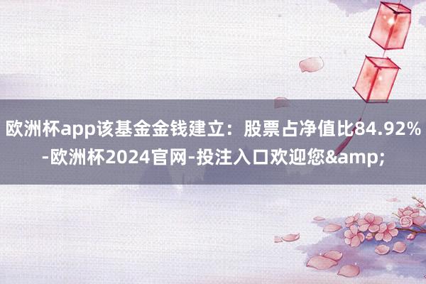 欧洲杯app该基金金钱建立：股票占净值比84.92%-欧洲杯2024官网-投注入口欢迎您&