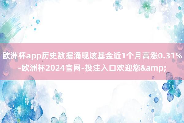 欧洲杯app历史数据涌现该基金近1个月高涨0.31%-欧洲杯2024官网-投注入口欢迎您&