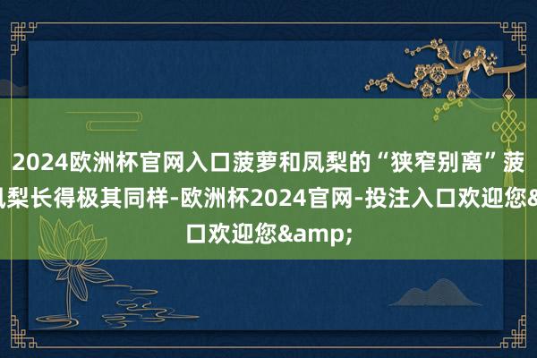 2024欧洲杯官网入口菠萝和凤梨的“狭窄别离”菠萝和凤梨长得极其同样-欧洲杯2024官网-投注入口欢迎您&